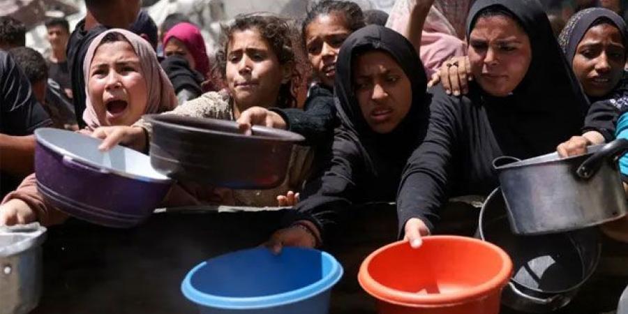 تحرك سعودي فاعل.. وضغط غربي على إسرائيل.. صرخات أطفال غزة توقظ العالم
