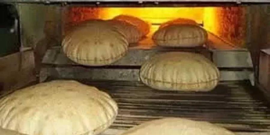 وزارة الداخلية تواصل حملاتها المكثفة لضبط الأسواق والتصدى الحاسم لمحاولات التلاعب بأسعار الخبز الحر والمدعم