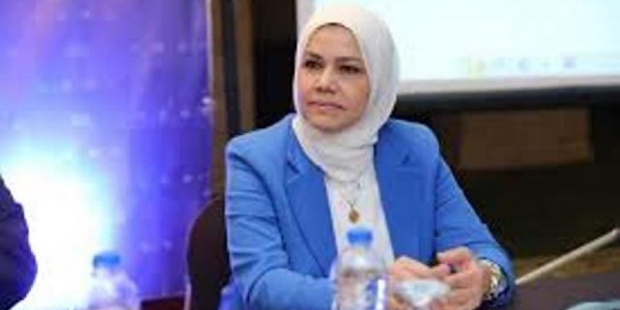 تحذير من رئيس مصلحة الضرائب بشأن الفاتورة الصورية