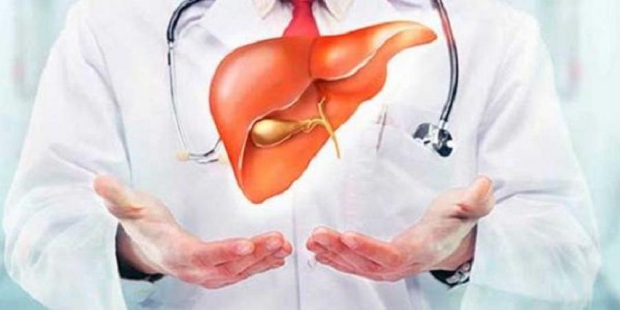 نصائح هامة للوقاية من تلف الكبد والحفاظ على صحته