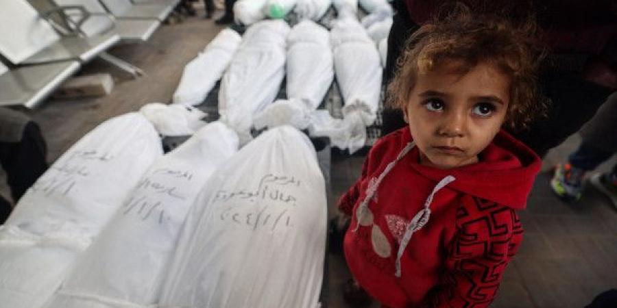 الصحة بغزة: 72 شهيدًا و 278 إصابة خلال 24 ساعة