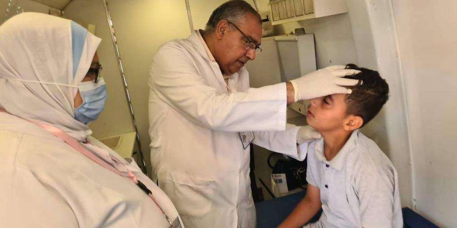 الكشف على ٥٨٩ بقافلة  قرية ١٩ لحوم  بالنوبارية