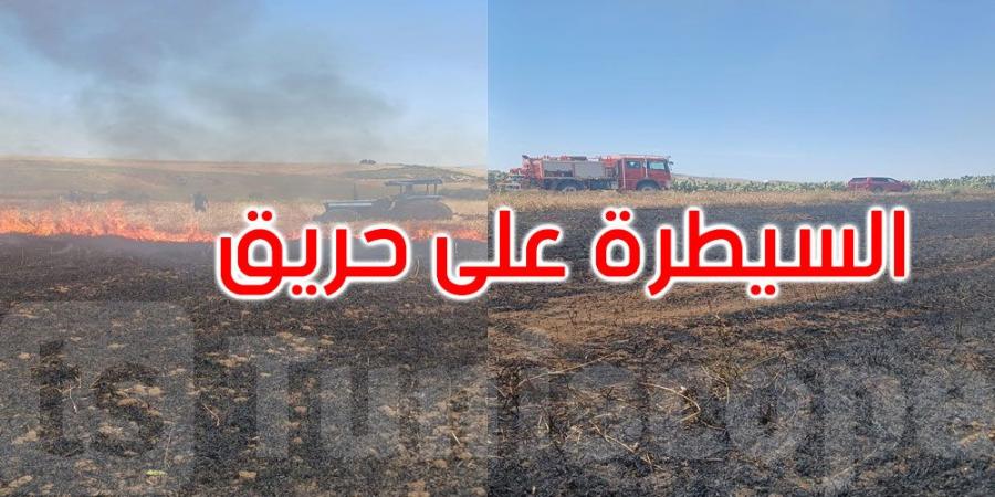 جندوبة: حريق بمزرعة قمح يأتي على حوالي 1.4 هكتار