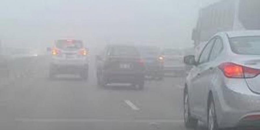 طقس اليوم.. شبورة مائية على الطرق السريعة صباحا.. والعظمى 31
