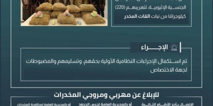 القبض على (11) مخالفًا لتهريبهم (220) كجم من القات بـالربوعة