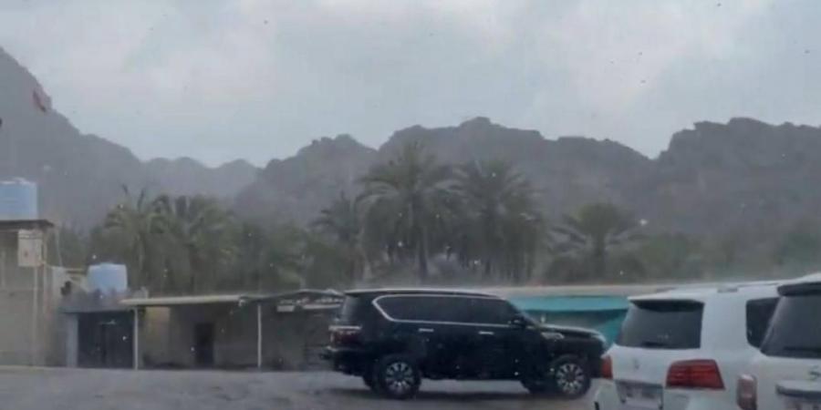 «الأرصاد»: أمطار في الشمال والشرق.. واحتمالية للضباب