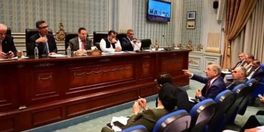 رئيس زراعة النواب: طفرة في المحاصيل الاستراتيجية بعد تحديد أسعار التوريد