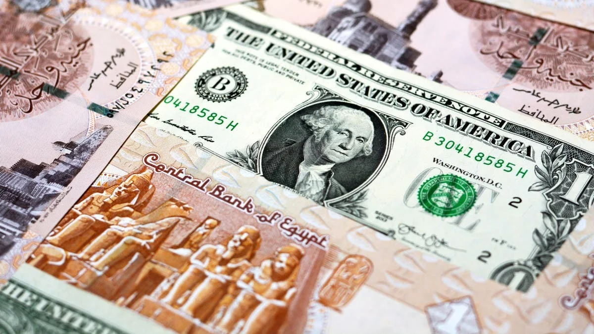 “ارتفاع ولا انخفاض“ سعر الدولار أمام الدينار ال 100 دولار بكام دينار في العراق اليوم
