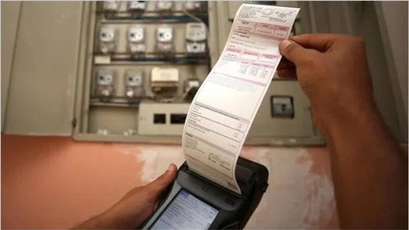 بورصة الدواجن: أسعار الفراخ البيضاء اليوم وسعر كرتونة البيض في الأسواق