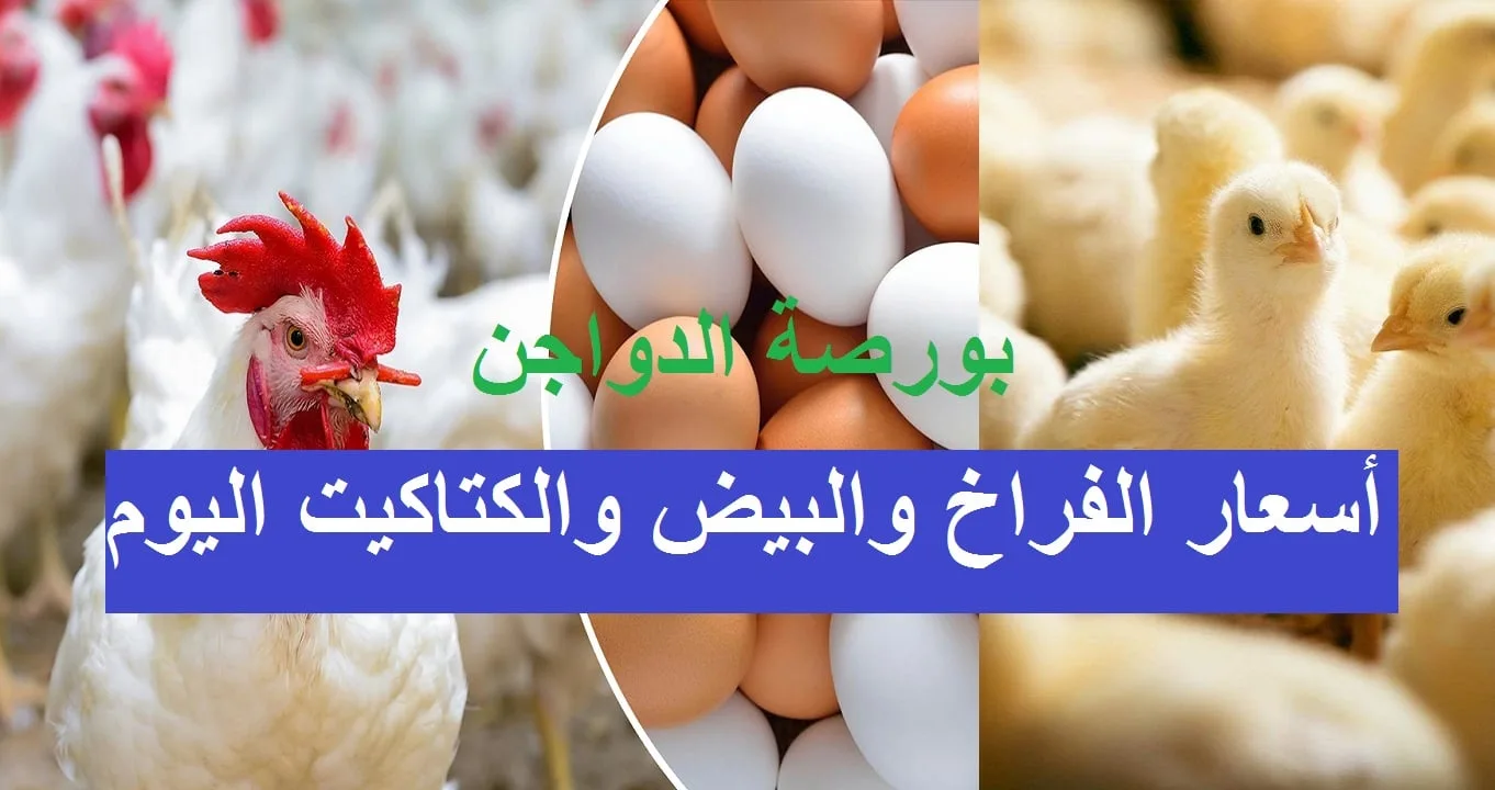 سعره لا يعقل".. أسعار الذهب في العراق اليوم 3 نوفمبر 2024 وسعر السبائك بكل الأحجام