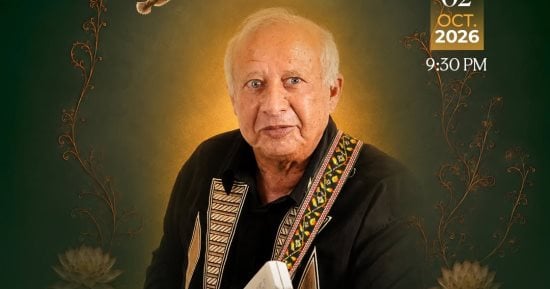 هانى شنودة يحيى في مهرجان هى الفنون